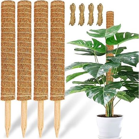 Les supports pour plantes en mousse et les supports pour plantes en fibre de coco, de 43 cm de diamètre et jusqu'à 135 cm de hauteur, conviennent aux plantes grimpantes d'intérieur. (1/5)