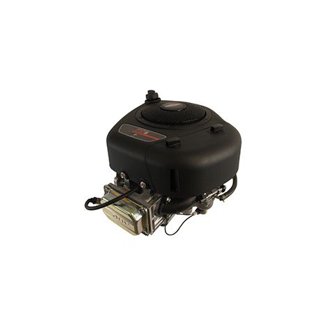 Moteur Briggs & Stratton Modèle Série 3130 Avec Axe Vertical 25.4 X 80 Mm.
