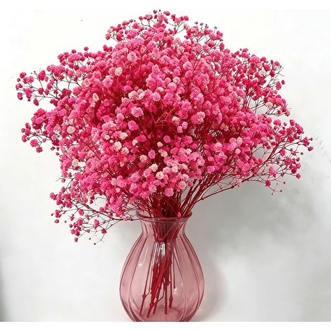 100 grammes Gypsophile Séché Fleurs Rose, 42cm Naturel Gypsophila Fleurs Sechees Plus de 2000 Floraux Boutons pour Rose Gypsophile pour Mariage, Décoration Maison, DIY et Fête (1/5)