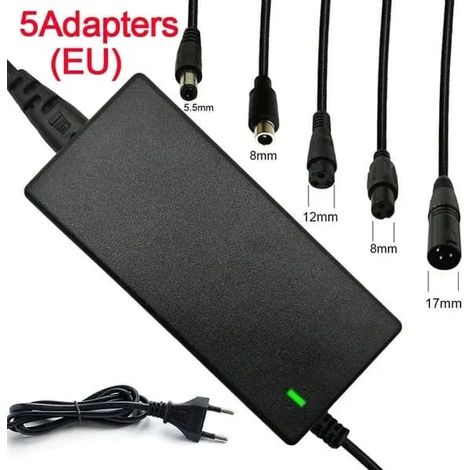 Chargeur universel de batterie au lithium 42 V 2 A pour gyropodes et trottinettes électriques - Adaptateur secteur 3- (1/4)