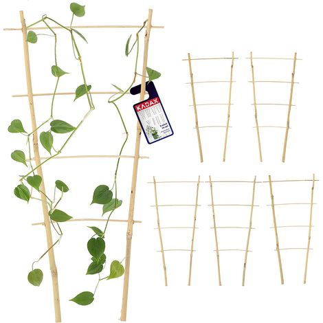 QAZQA Lot de 6 échelles en bambou - Échelle de soutien pour fleurs - Support pour plantes de jardin en bambou - Treillis en forme de V - Support d'escalade (h : 41 cm, double) (1/5)