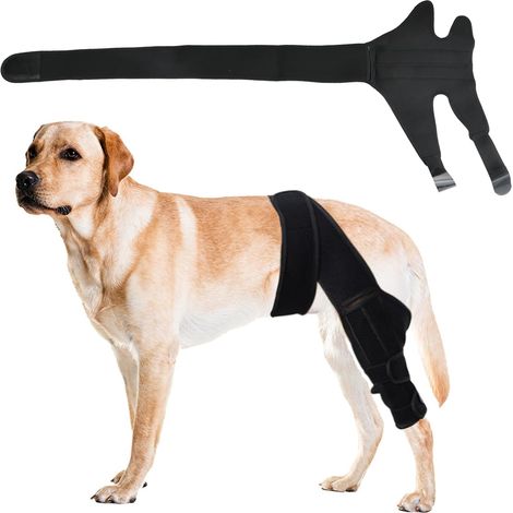 Attelle Genou pour Chien, Genouillère Arthrose Chien Respirante (1/5)