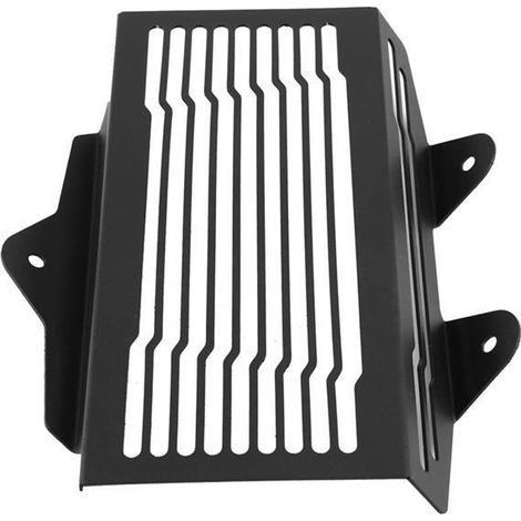 Passend für BMW R12 und R12 Ninet Motorräder der Baujahre 24-25. Kühlergrillschutz. (1/4)