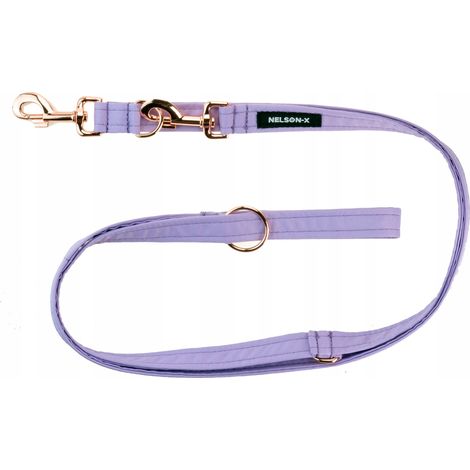 ELEGANTE CORDINO RETRATTILE NELSON-X 2,5 M/2,5 CM CON GANCIO A SCATTO RINFORZATO IN ORO (1/5)