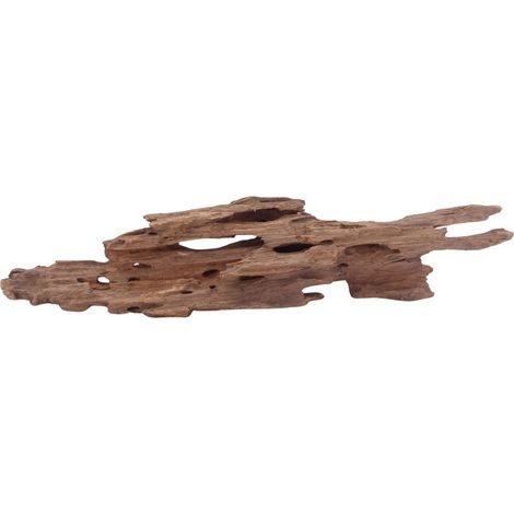 L Honey Comb Wurzel Nr.5137 Holz Deko Aquascaping