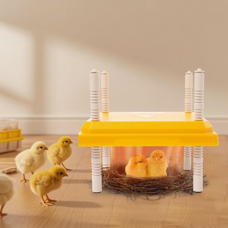 Plaque chauffante pour poussins – 15W, 25×25 cm, température constante 55°C, hauteur réglable – Pour élevage de volailles et petits animaux (1/5)