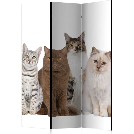 Paravento - Sweet Cats [Room Dividers] - 135x172 (1/4)