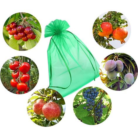 Filiyano-Sachets de protection pour fruits (100 pièces), sachets de protection pour raisins (20 x 30 cm) (1/3)