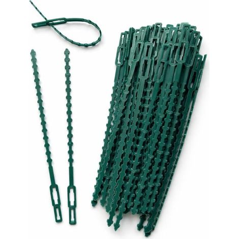 50 bridas ajustables de color verde oscuro para plantas, de 17 cm – Bridas reutilizables para plantas, soportes y huertos (1/5)