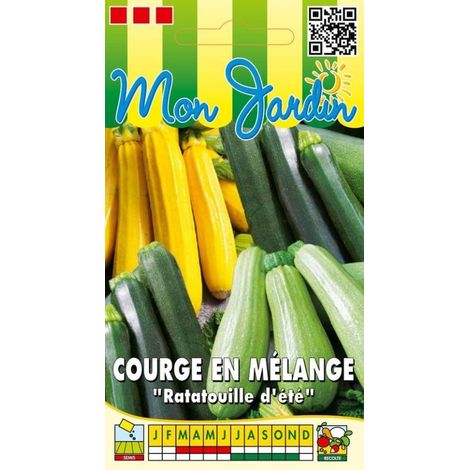 Courges en mélange (Ratatouille d'été) - 2g