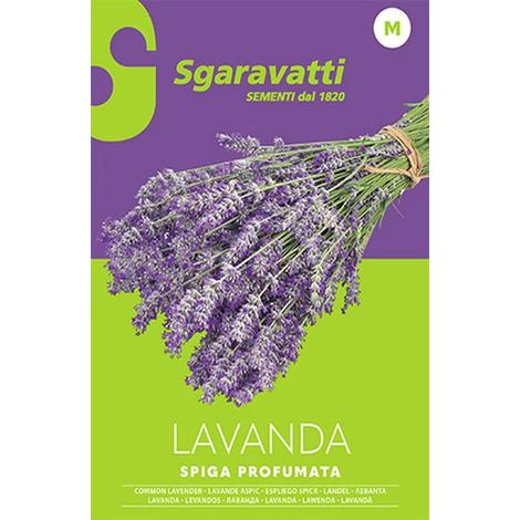 Semi per Ortaggi e Vegetali Lavanda Spiga Sgaravatti 20 Pezzi (1/2)