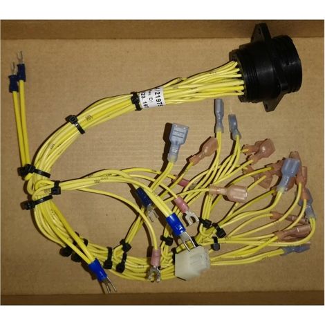 Molex 184/21975 Cablaggio elettrico