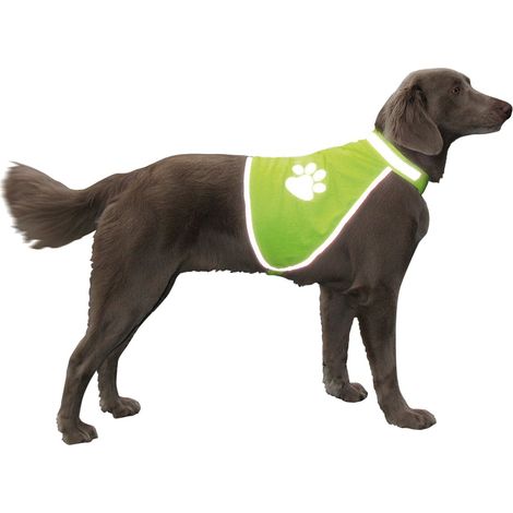 Nobby – Gilet de sécurité réfléchissant pour chien – Polyester, taille M