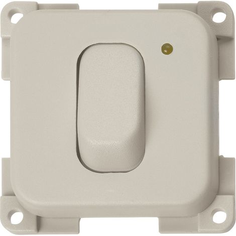 Interrupteur à Bascule 12v + Voyant Gris Clair