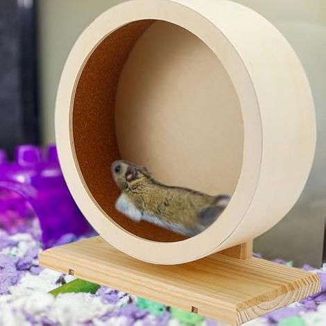 Roue pour hamsters, en bois, 15 cm, avec bande de roulement en liège, silencieuse et pour petits animaux (1/3)