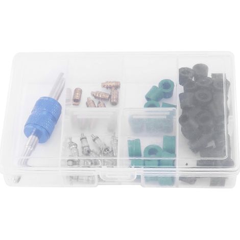 Kit de réparation de 71 noyaux de valve de climatisation R12/R134A (1/5)