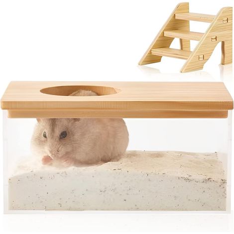 Bac de bain de sable pour hamster avec échelle - En acrylique transparent - Salle de douche - Pour écureuil, lapin, rat (1/5)