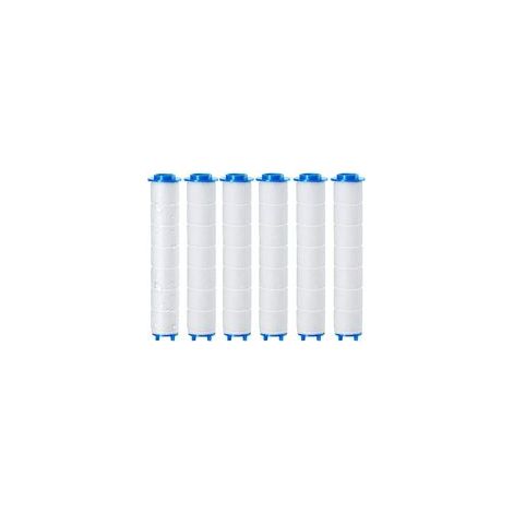 6 pièces Douchtte Filtre Remplaçable, Filtre douchette ​pour pommeau de douche de amovible, L'osmose Inverse, Chlore et le Fluorure et La Filtration Des Particules