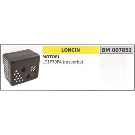 silencieux tondeuse LC1P70FA 007852