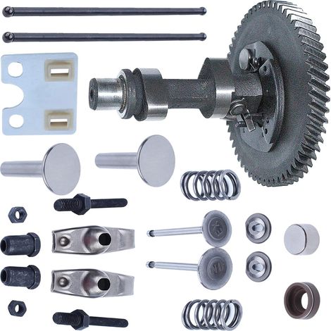 Arbre à cames pour Honda GX390 13HP avec culbuteur de soupape, poussoir, plaque, arbre à cames, soupape d'admission, soupape d'échappement, support de ressort (admission), support de ressort (échappem (1/5)
