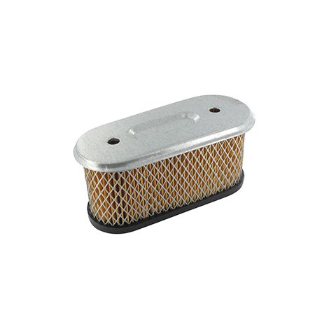 Filtro Air BRIGGS et STRATTON 491021