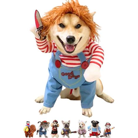 Déguisement d'Halloween pour chiens et chats, idéal pour les promenades, convient aux chiens de petite et grande taille. Taille L. (1/4)