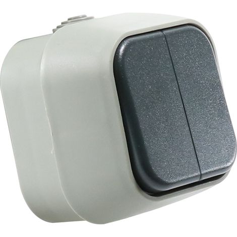 IluminaShop - Interruptor Doble de Superficie IP54 Gris (1/2)
