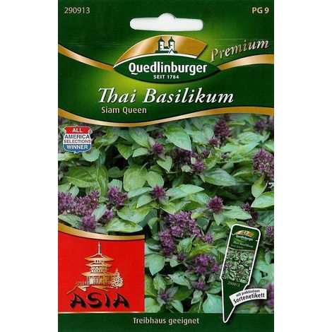 Quedlinburger Thai Basilikum Siam Queen - Premium Kräutersamen (1/2)