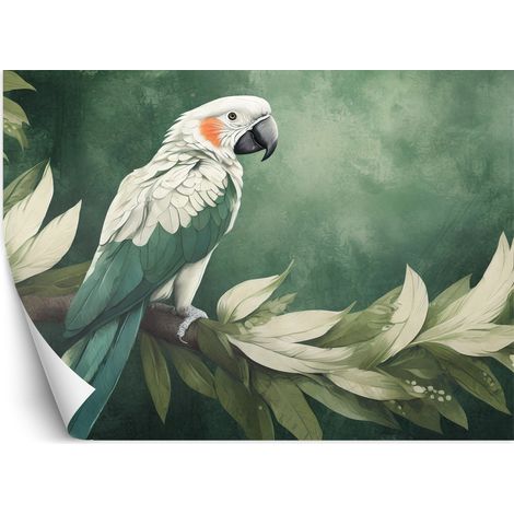 Fototapete Papagei Vogel Tiere 150x105 cm (1/5)