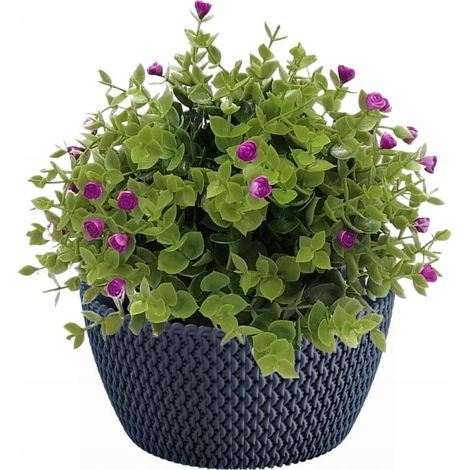 SPLOFY runder Kunststoff-Schale-Blumentopf 23,6 cm anthrazit (1/2)