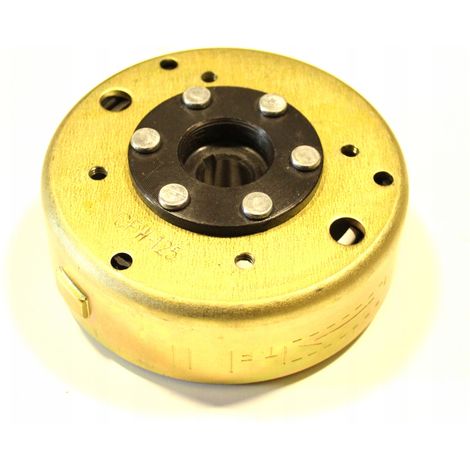 MAGNETO Magnetroller mit 4-Takt-Motor, GY6 125/150, Junak Romet, Zipp, Barton Quest (1/2)