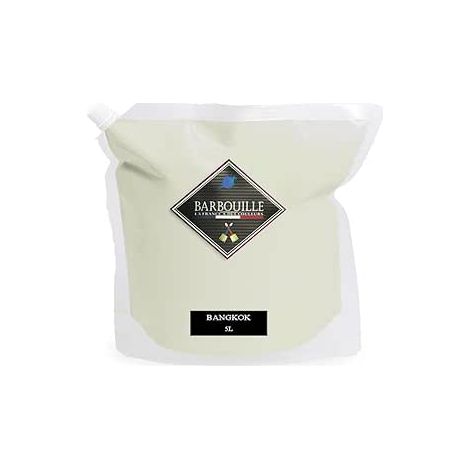 Laque satin bois, murs et plafonds 5L Vert d'eau Bangkok (1/5)
