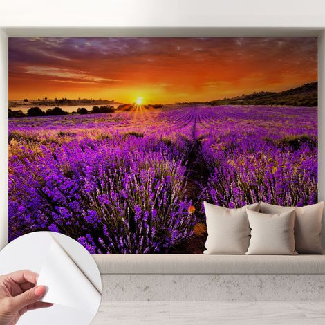 Papier peint adhésif autocollant pour salon chambre à coucher peint imprimé pour mur Coucher de soleil lavande 208x146 cm (1/5)