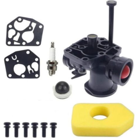 Compatible avec carburateur 795469 794147 699660 794161 498811.
