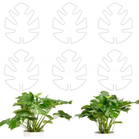 Supporti per piante - 6 pezzi - Supporti per piante Monstera - Supporti per steli di piante - Supporti per piante da interno - Supporti anti-cedimento - Durevoli - Supporti stabilizzanti per piante Mo (1/5)