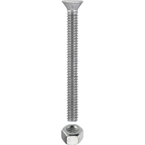 Viti per metallo T.P.S. zincate M6 x 100 - 4 pz.