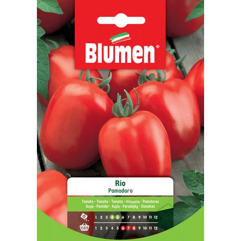 SEMI DI POMODORO RIO NANO