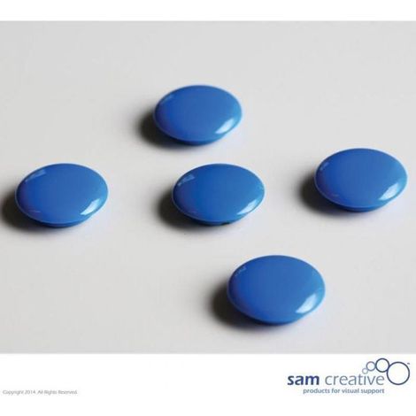 Satz Memo-Magnete 30mm blau