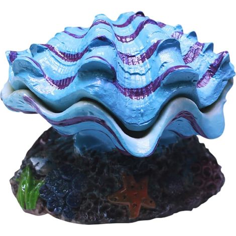 Grotte pour Aquarium Décor Aquarium Coquillage (1/5)