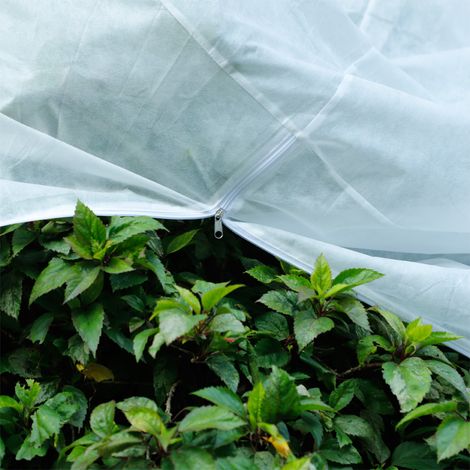 Protection Plante Gèle Voile Hivernage 1.76oz/m² Non Tissé 100x100x180cm pour Arbre Arbuste Citronnier Tomate 1 Housse (1/5)