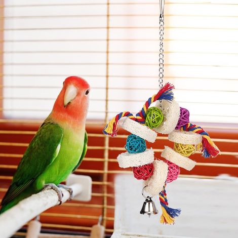 Jouet pour oiseaux en rotin, éponge loofah, corde en coton, support suspendu pour perroquet, accessoire de jeu à mâcher et à poser (Modèle 1) (1/5)