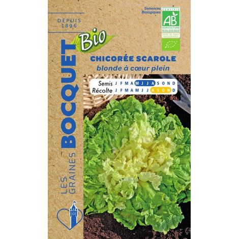 Chicorée Scarole blonde à coeur plein Bio- certifiée ECOCERT FR-BIO-01 - 3g