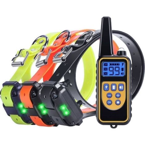 Collier de dressage Rechargeable - Étanche - 800 Verges - 4 Modes d'Entraînement (1/4)