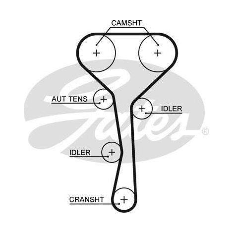 Courroie crantée Gates 5507XS RENAULT 7700100531 7700103243 7700106243