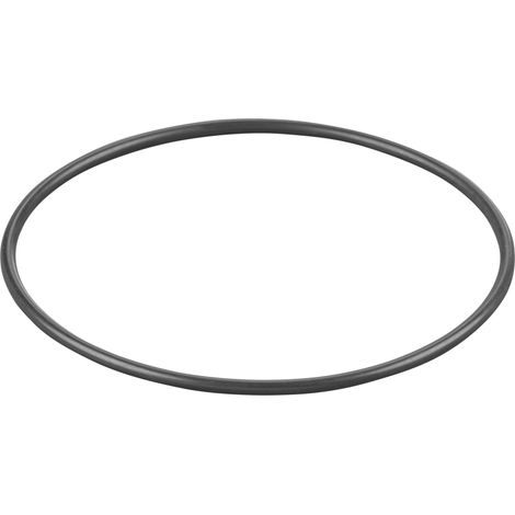 Rems O-Ring 060036