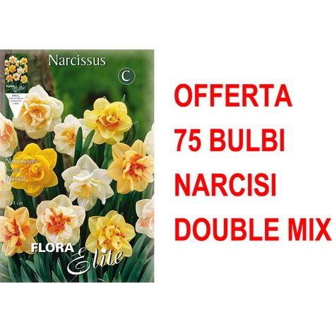 OFFERTA 75 BULBI BULBI NARCISO DOUBLE MIX BULBS BULBES
