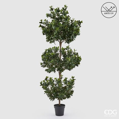 EDG Enzo De Gasperi Pianta Artificiale Agrifoglio H 188 Cm con Vaso – Anti UV Verde per Interno ed Esterno (1/5)