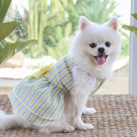 1 robe d'été à carreaux pour animaux de compagnie - Jupe à nœud papillon pour chien / Jupe princesse pour chat - Bichon Teddy - Vêtements pour petits chiens (1/2)