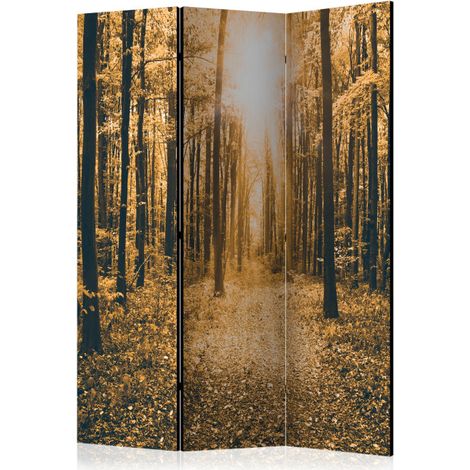 Paravent 3 Volets "Magical Light" 135x172cm (1/2)