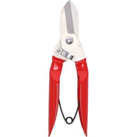 Esschert Design Astschere - Edelstahl (1/2)